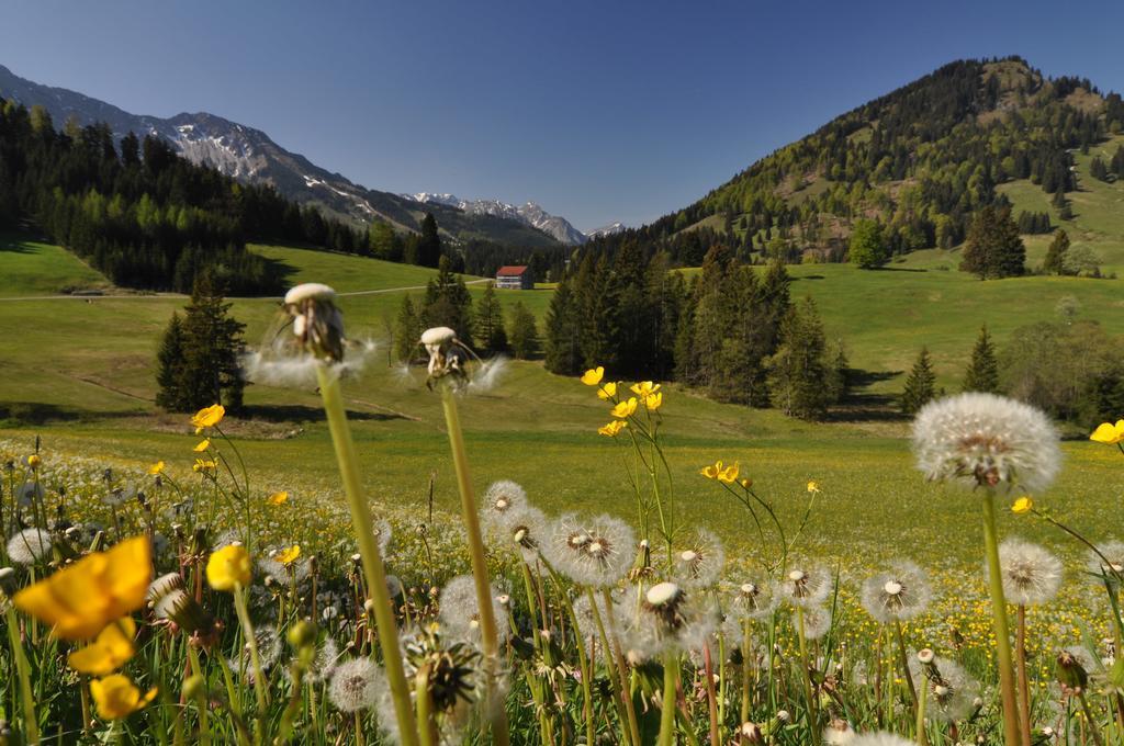 Landhotel Berghof Bad Hindelang Room photo